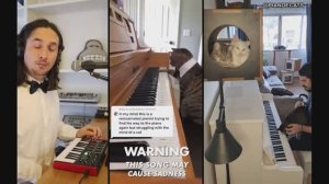 The Kiffness x Mozart Cat x Piano & Cats