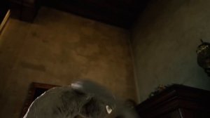 All Creature Stories by Horror Skunx! (Opila Bird, Choo Choo Charles, Boxy Boo & Rainbow Friends)