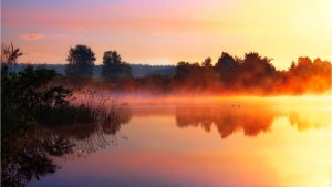 Музыка для снятия стресса.  И.С.Бах.