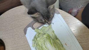 Невиданный зверь