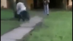 Смерть известного ТикТокера
