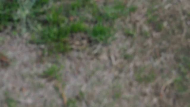 INUKSUIT by John Luther Adams in Seattle смотреть онлайн