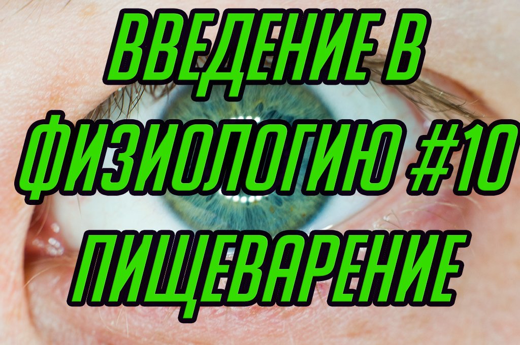 Основы физиологии #10. Пищеварение и обмен веществ.