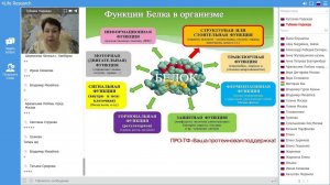 Трансферфакторсодержащие формулы и идеальный протеин ПРО ТФ. Их преимущества.  Тубаева Надежда