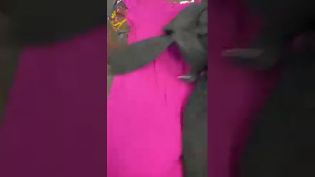 Одежда Оптом- Женская одежда фирмы BGN