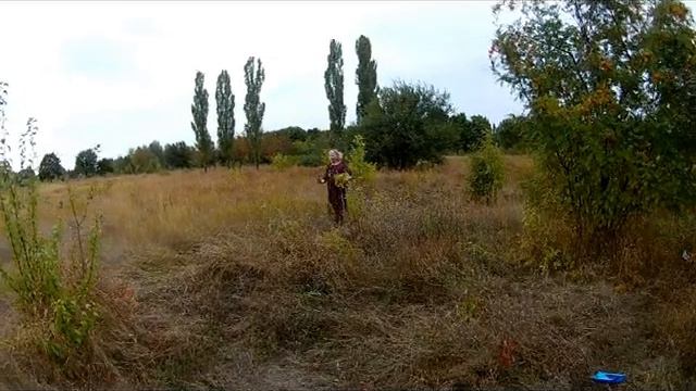 Скажи мне рябина,когда это было смотреть онлайн