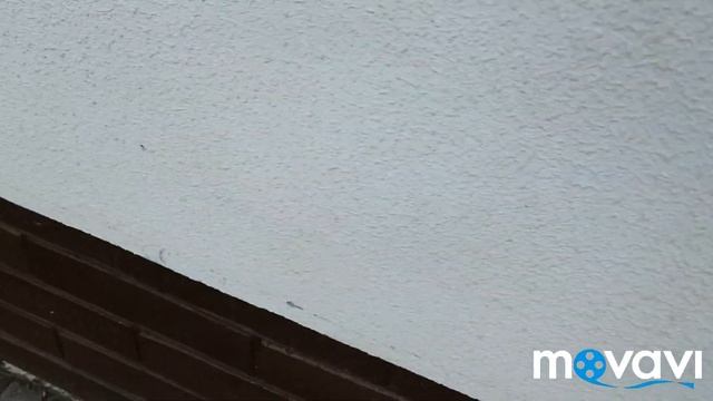 Почему нельзя использовать стартовый профиль и декоративной покрытие с низкой паропроницаемостью