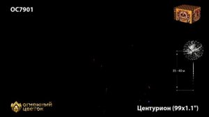 Центурион (1,1х99) (ОС7901)