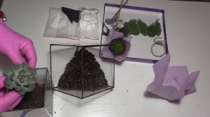 Мастер класс по созданию флорариума