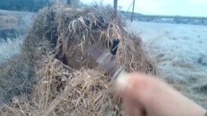 ну не охота получилась а притирка чоков, доведение до рабочего боя? 2 вороны?пудов от ? гриппа упал