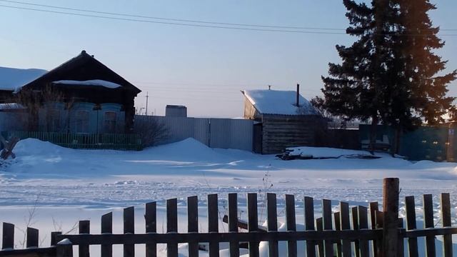#стихиОмаме ГДЕ ТЫ, ДУША МОЯ, МАМА? (читает автор)
