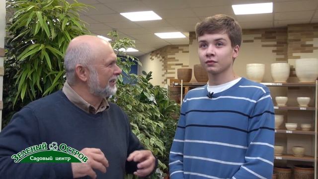 Рассада томатов, грунт с биогумусом, сроки до 90 дней, досветка 2 3 дня круглосуточно для формирова