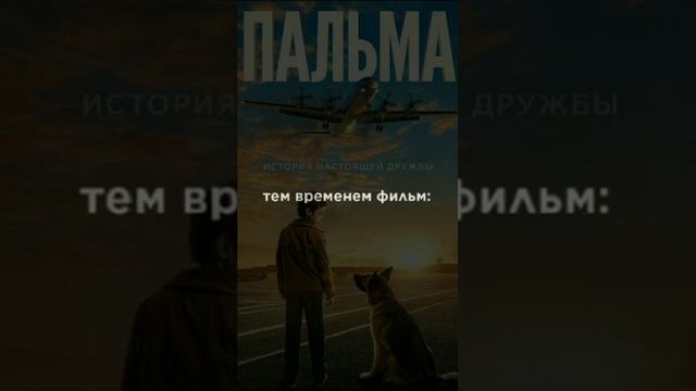 Несколько раз прослезилась, а на одном моменте даже заплакала#фильм#пальма#все) смотреть онлайн