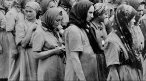 СТРАШНАЯ правда о БОРДЕЛЯХ в немецких концлагерях