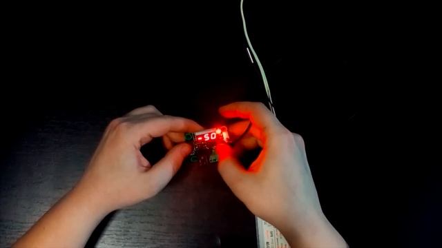 Терморегулятор из Китая для инкубатора обзор