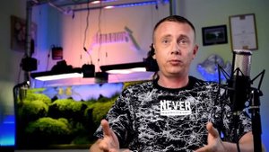 Выбор освещения для аквариума: советы проФФессионалов!