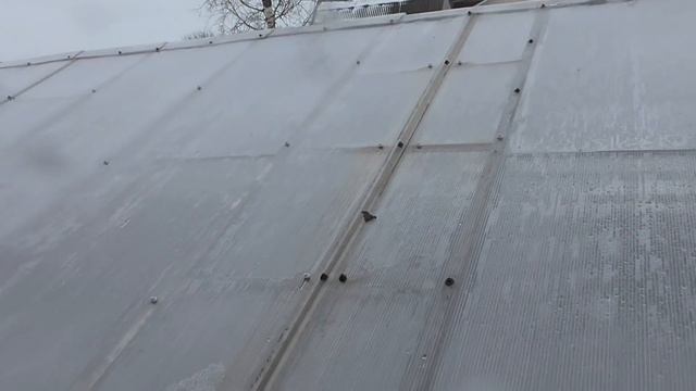 Теплица для рассады, перекрыли новым поликарбонатом
