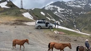 Обзор рынка битых авто в Грузии  Цены на Июнь 2023