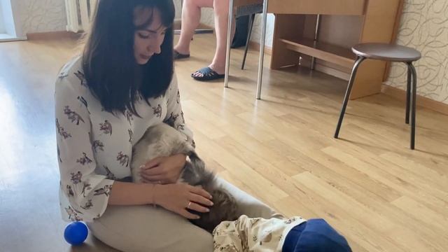 ЛЕТНИЕ БУДНИ С СЕМЬЕЙ | ДАЧА смотреть онлайн