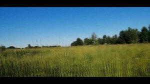 Дизельный мотоблок Варяг МБ-903 с жигулевскими колесами и самодельным прицепом | Варяг #1