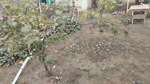 Отопление под землёй. Четвертый день отпуска.