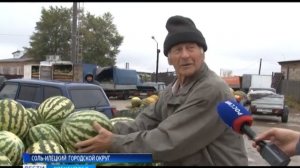 Никому не нужны? В Соль-Илецке тонны бахчевых гниют на полях