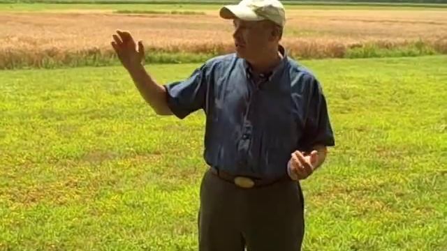 Battle of Fredericksburg: The Action at the Slaughter Pen Farm смотреть онлайн