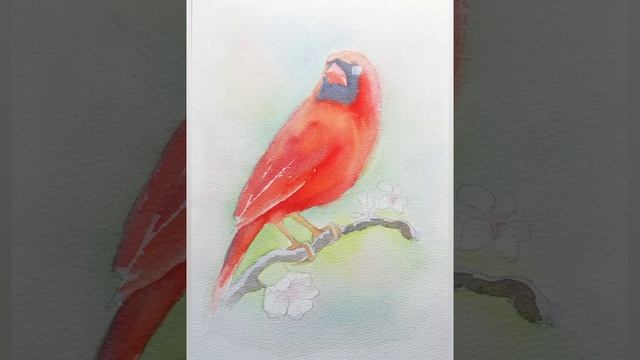 Рисунок птицы акварелью. Кардинал