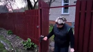 Забор из евроштакетника калитка, въезд для машины