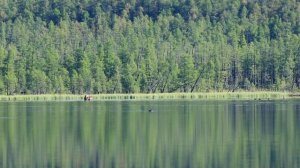 Сохондинский заповедник поздравляет всех с всемирным днем водных ресурсов