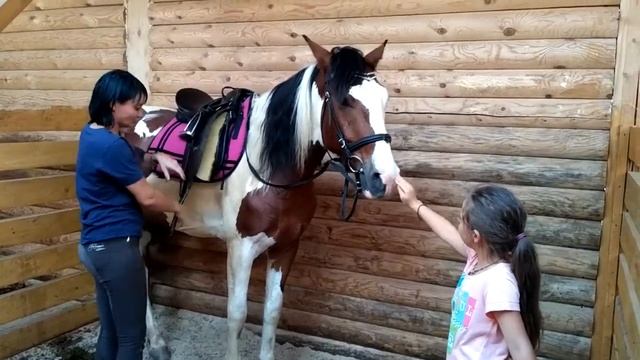 Занятия в конном клубе. смотреть онлайн