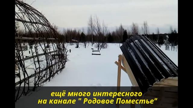 Зимостойкий виноград на теплых грядках смотреть онлайн