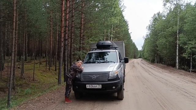 Томская область. смотреть онлайн