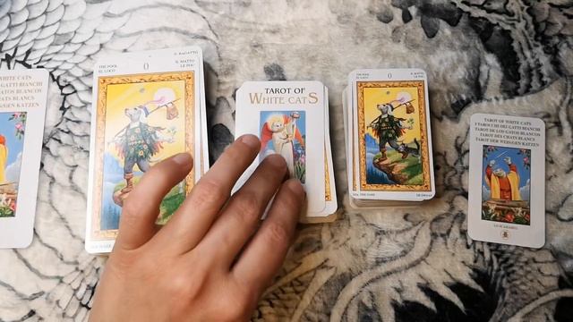Обзор Мини Таро Белых кошек (Tarot of White Cats by Lo Scarabeo) в твердой коробочке