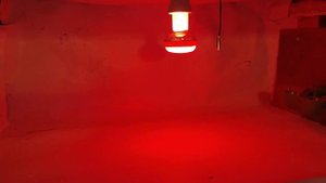 Клетки для перепелов. Обогрев, освещение, кормушки.клетки для птиц