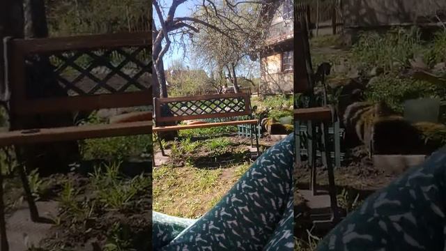 Карта|Что происходит•Опят?!/DOGS & GIRLS смотреть онлайн