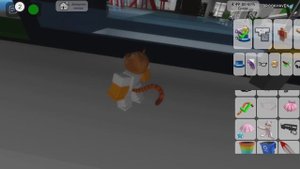 Коды на кота в брукхевен