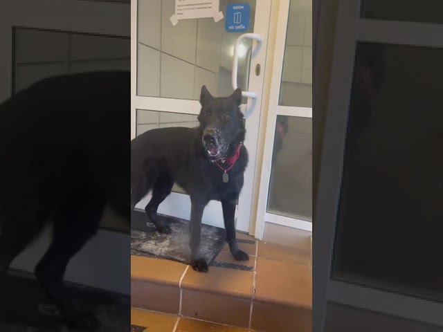 IMG 0089 смотреть онлайн