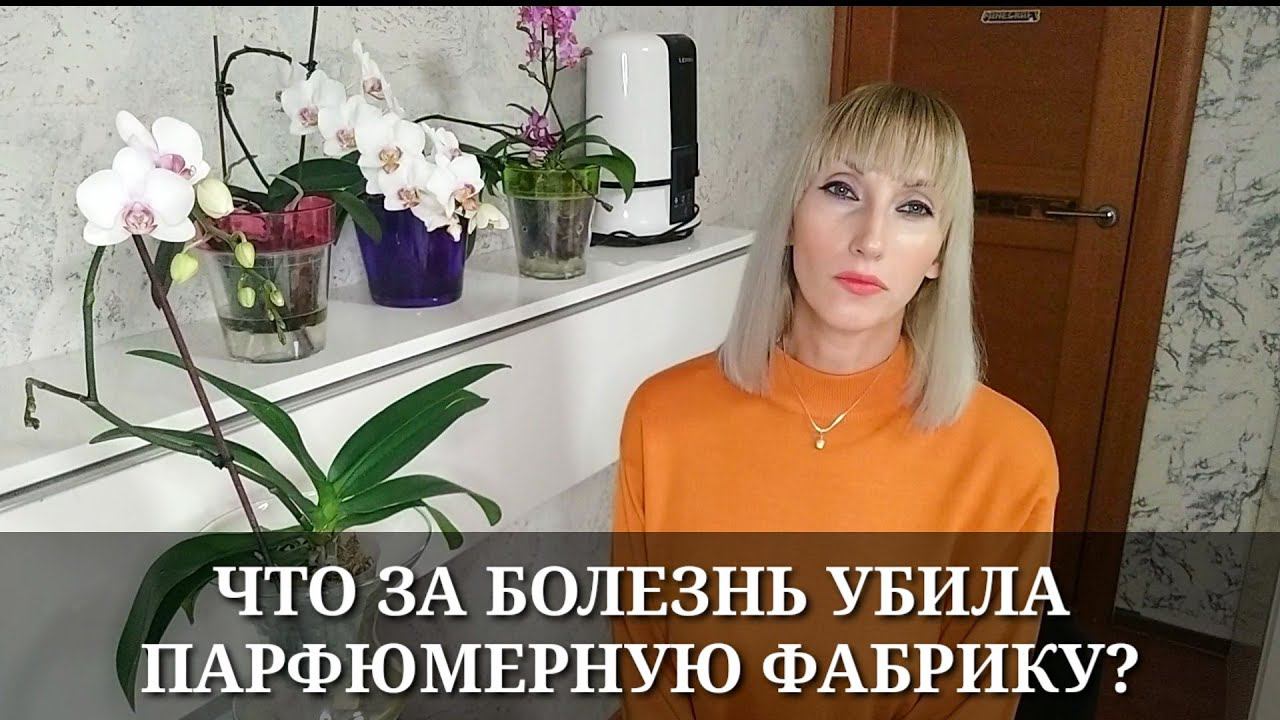 КАКАЯ БОЛЕЗНЬ УБИЛА ПАРФЮМЕРНУЮ ФАБРИКУ за неделю? / Обработка МАКСИМОМ / Орхорай или есть надежда?