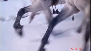 гр. Дилижанс. Живёт моя отрада.