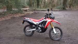 Honda CRF 250 Rally - Review - First Ride