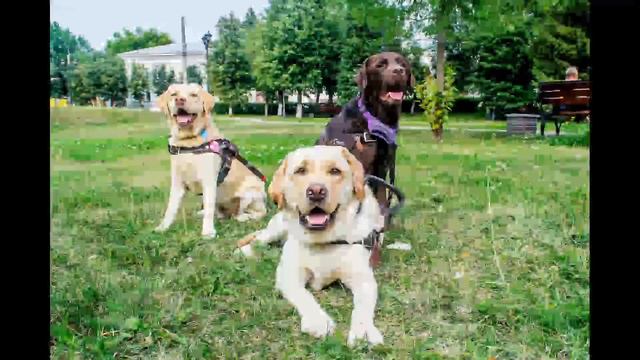 Обаяние Флая смотреть онлайн