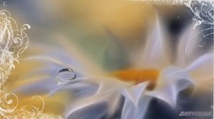 АРИНА РИТЦ   КАПЕЛЬКА РОСЫ