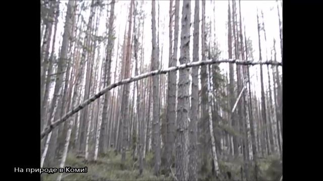 Десять мгновений осенней охоты на боровую дичь 2 часть смотреть онлайн