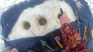 Рыбалка в коми, глухозимье.