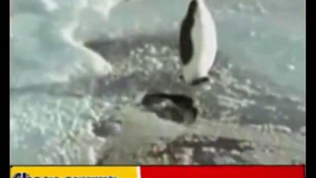 АНЕКДОТ ПРО ПИНГВИНОВ смотреть онлайн