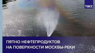 Пятно нефтепродуктов на поверхности Москвы-реки #shorts