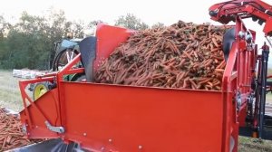 Современные технологии  Комбайн для уборки моркови