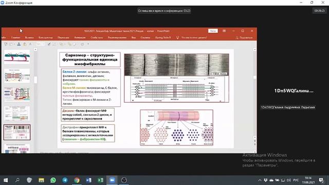 Мышечные ткани 3к - Ладыгина Г.А. смотреть онлайн