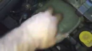 Z6517 ДВС (Двигатель) Opek Zafira 1.8i Z18XE